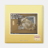 Dikke kamergenoot magneet (Voorkant)