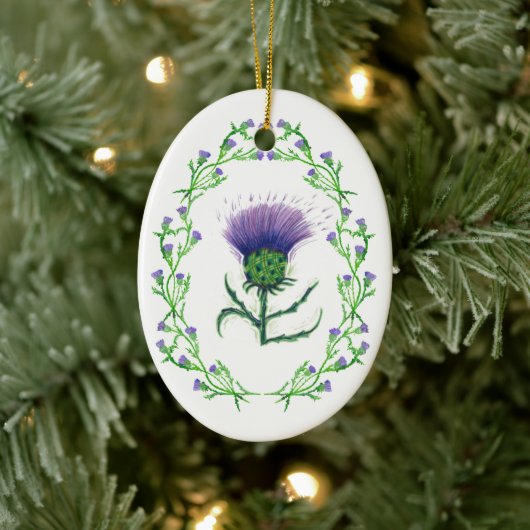 dikke lijst dikke scotland decoratie (Boom)