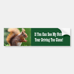 Dikke noten bumpersticker