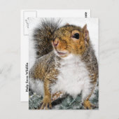 Dikke sneeuw briefkaart (Voorkant / Achterkant)