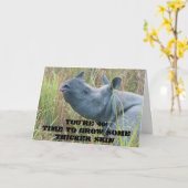 Dikkere huid kaart (Gele Bloem)