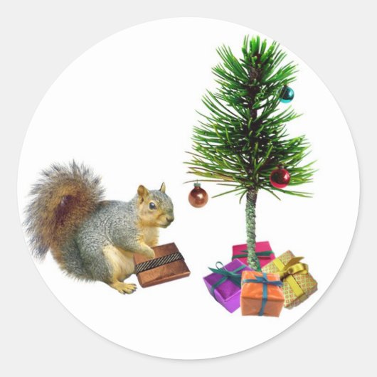 Dikkerstboom Ronde Sticker (Voorkant)