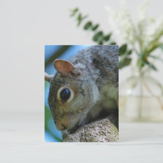 Dikkervaten Briefkaarten (Staand voorkant)