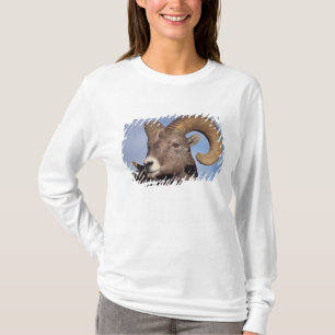 dikschaap, bergschaap, Ovis canadensis, T-shirt