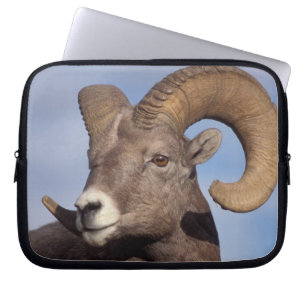 diksnuit schaap, bergschaap, Ovis canadensis, Laptop Sleeve