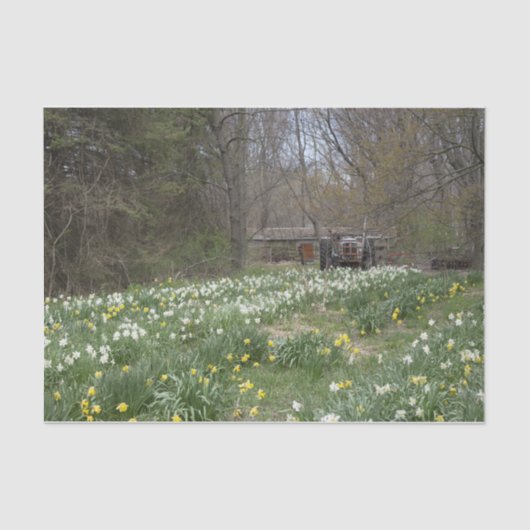 Dilapided Boerderij Building Flower Meadow Tissuepapier (Voorkant)
