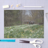 Dilapided Boerderij Building Flower Meadow Tissuepapier (Craft)