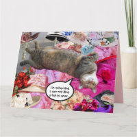 Dilemma van Princess Tatus Cat