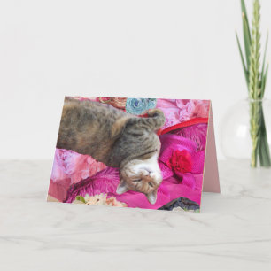 Dilemma van Princess Tatus Cat Kaart