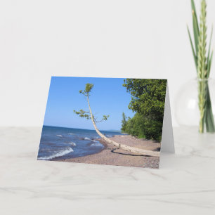 Diligemment cherchant - carte de voeux d'écriture