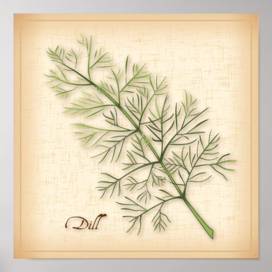 Dill Herb Poster (Voorkant)