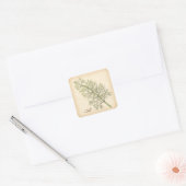 Dill Herb Vierkante Sticker (Envelop)