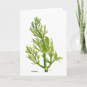 Dill Kunst Bedankkaart
