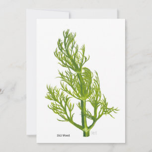 Dill Kunst Kaart