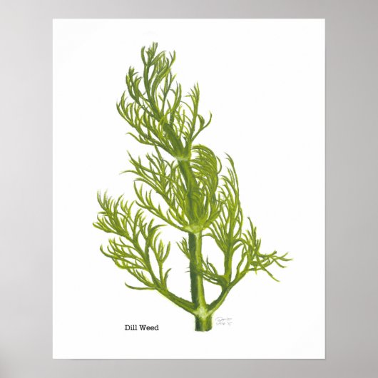 Dill Poster (Voorkant)