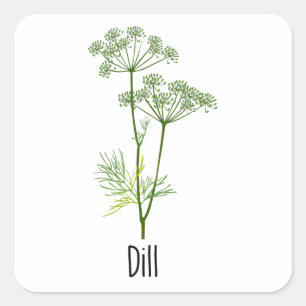 Dill Spices Herb Vierkante Sticker