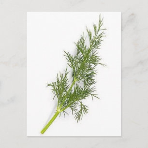 Dill Weed Briefkaart