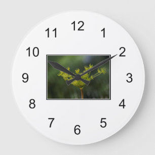 Dill weed delly grote klok