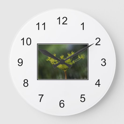 Dill weed delly grote klok (Voorkant)