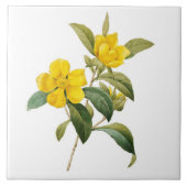 Dillenia Tegeltje (Voorkant)