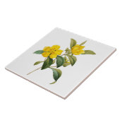 Dillenia Tegeltje (Zijkant)