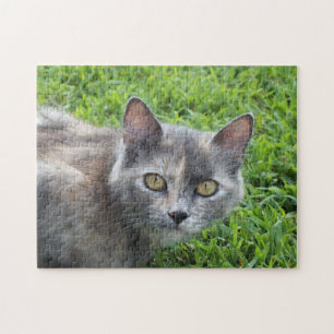 Dilute Gray Tortoiseshel Cat in Grass Legpuzzel