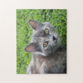 Dilute Gray Tortoiseshel Cat in Grass Legpuzzel (Verticaal)