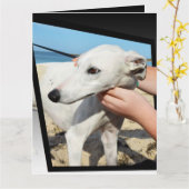 Dimensions Greyhound Grande carte de voeux (Fleur jaune)