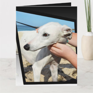 Dimensions Greyhound Grande carte de voeux