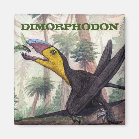 Dimorphodon Magnet Magneet (Voorkant)