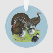 Dinde Famille Bronze Standard (devant)