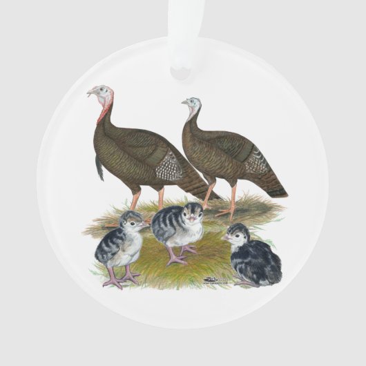 Dindes Famille Sauvage de l'Est (devant)