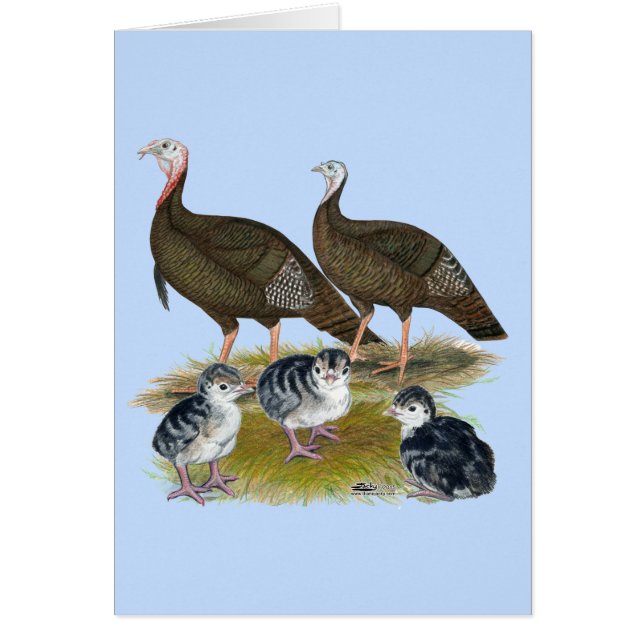 Dindes Famille Sauvage de l'Est (Devant)