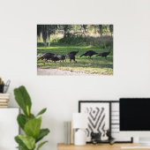 Dindes sauvages dans l'herbe Affiche photographiqu (Bureau à domicile)