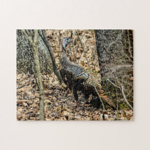 Dindon sauvage dans les bois Photo Puzzle avec cof