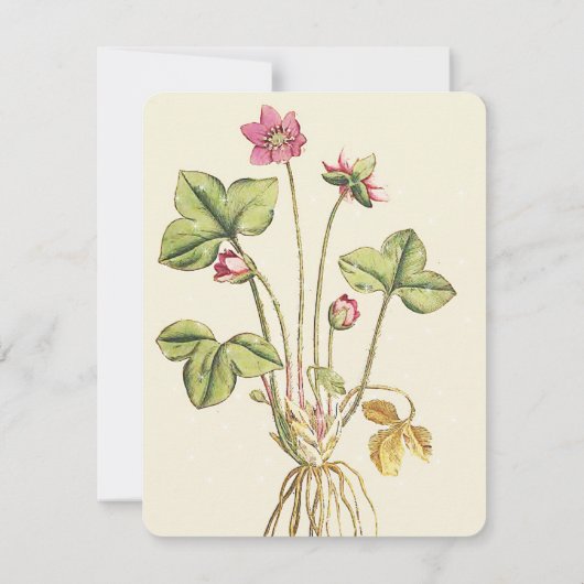 Dîner botanique rose Fleur Invitations (Dos)