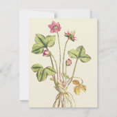 Dîner botanique rose Fleur Invitations (Dos)