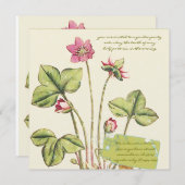 Dîner botanique rose Fleur Invitations (Devant / Derrière)