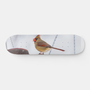 Dîner cardinal femme Heure Skateboard