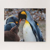 Dîner en pingouin en famille, Jigsaw Puzzle (Horizontal)