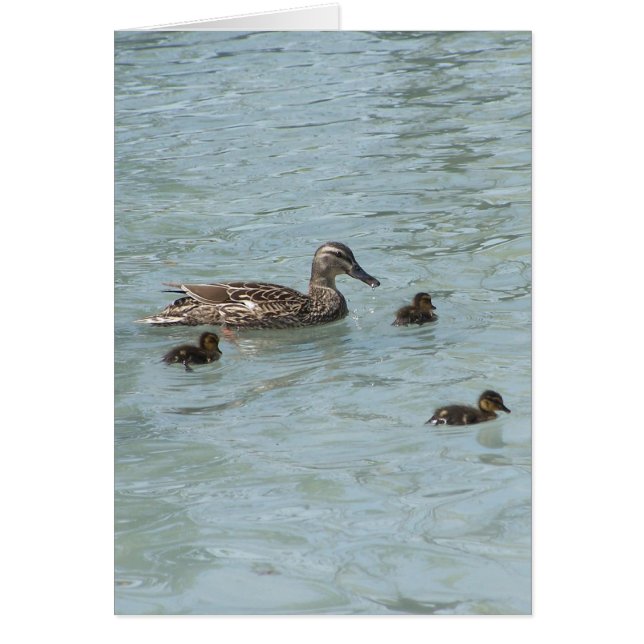 Dingen die drijven (Voorkant)