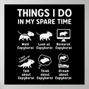Dingen die ik doe in mijn vrije tijd Capybara Grap Poster