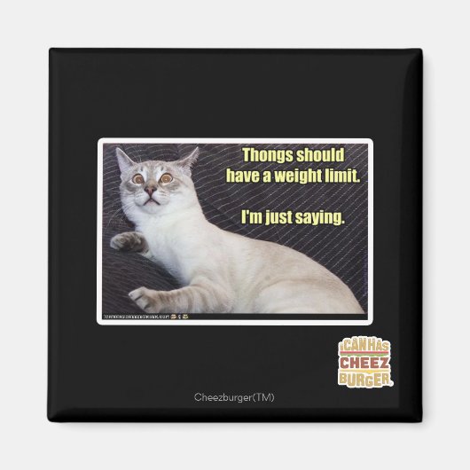 Dingen moeten een gewichtslimiet hebben. magneet (Voorkant)