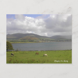 Dingle Bay, Co. Kerry Briefkaart