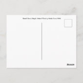 Dingle, carte postale de l'Irlande (Dos)