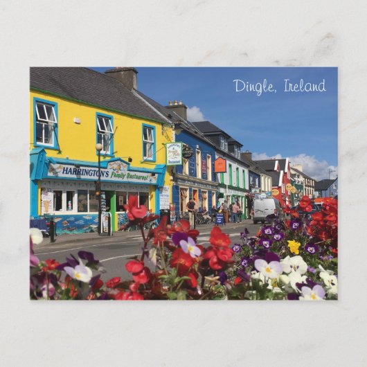 Dingle, carte postale de l'Irlande (Devant)