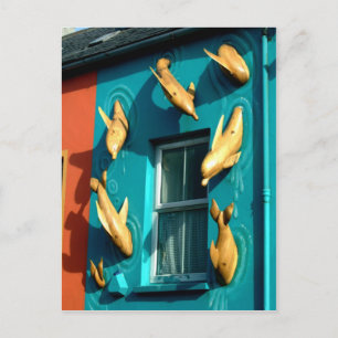 Dingle Dolphins op Souvenir Shop Briefkaart
