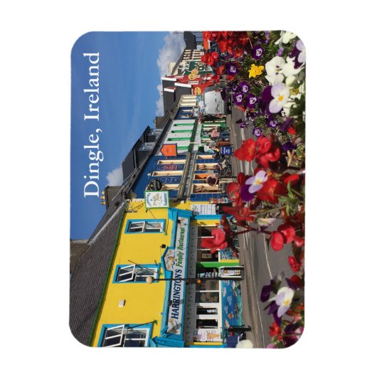 Dingle, Ireland Magnet Magneet (Verticaal)
