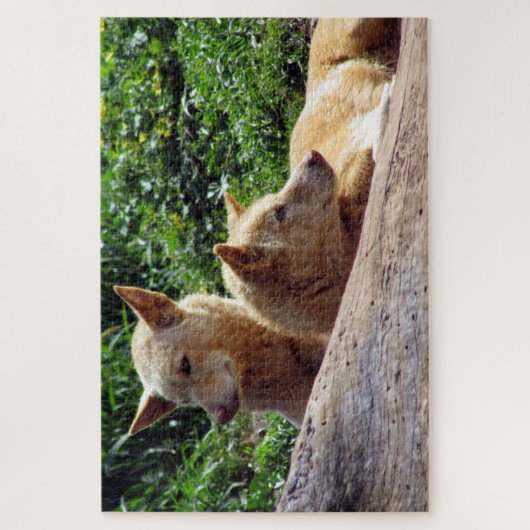 dingo legpuzzel (Verticaal)