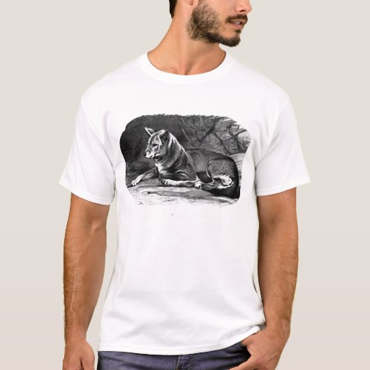 dingo t-shirt (Voorkant)